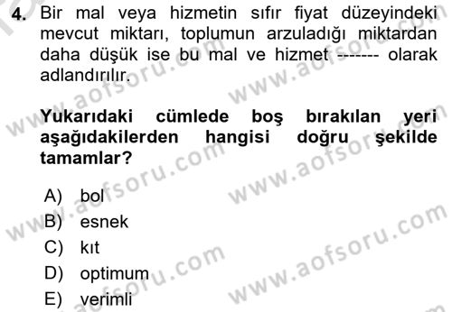 İktisada Giriş 1 Dersi 2022 - 2023 Yılı (Final) Dönem Sonu Sınav Soruları 4. Soru