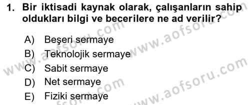 İktisada Giriş 1 Dersi 2023 - 2024 Yılı Yaz Okulu Sınav Soruları 1. Soru
