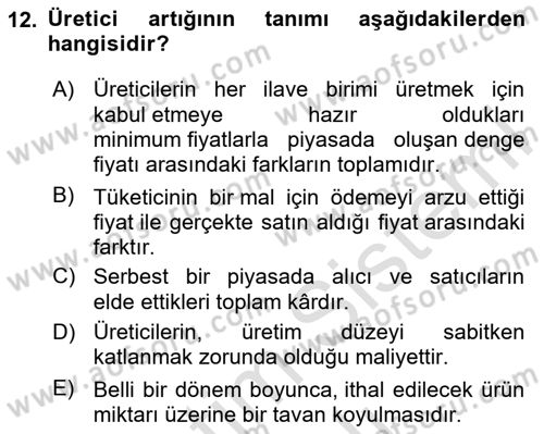 İktisada Giriş 1 Dersi 2023 - 2024 Yılı Yaz Okulu Sınavı 12. Soru