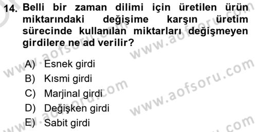 İktisada Giriş 1 Dersi 2023 - 2024 Yılı Yaz Okulu Sınav Soruları 14. Soru