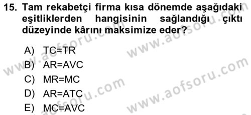 İktisada Giriş 1 Dersi 2023 - 2024 Yılı Yaz Okulu Sınav Soruları 15. Soru