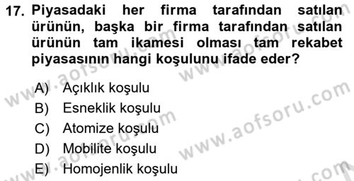 İktisada Giriş 1 Dersi 2023 - 2024 Yılı Yaz Okulu Sınav Soruları 17. Soru
