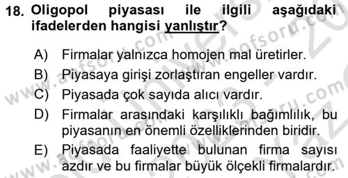 İktisada Giriş 1 Dersi 2023 - 2024 Yılı Yaz Okulu Sınav Soruları 18. Soru