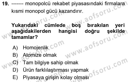 İktisada Giriş 1 Dersi 2023 - 2024 Yılı Yaz Okulu Sınav Soruları 19. Soru