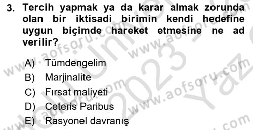 İktisada Giriş 1 Dersi 2023 - 2024 Yılı Yaz Okulu Sınav Soruları 3. Soru