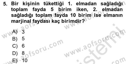 İktisada Giriş 1 Dersi 2023 - 2024 Yılı Yaz Okulu Sınav Soruları 5. Soru