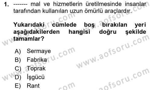 İktisada Giriş 1 Dersi 2024 - 2025 Yılı (Vize) Ara Sınav Soruları 1. Soru