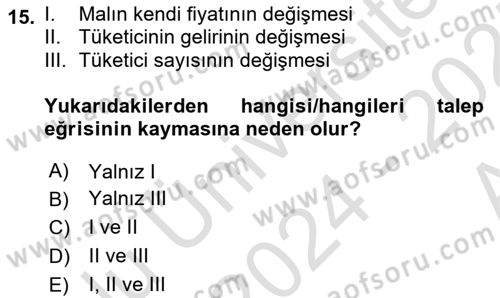 İktisada Giriş 1 Dersi 2024 - 2025 Yılı (Vize) Ara Sınav Soruları 15. Soru