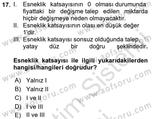 İktisada Giriş 1 Dersi 2024 - 2025 Yılı (Vize) Ara Sınav Soruları 17. Soru