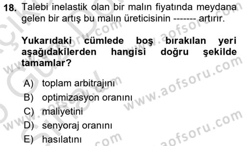 İktisada Giriş 1 Dersi 2024 - 2025 Yılı (Vize) Ara Sınav Soruları 18. Soru