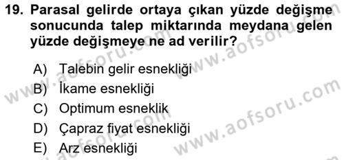 İktisada Giriş 1 Dersi 2024 - 2025 Yılı (Vize) Ara Sınav Soruları 19. Soru