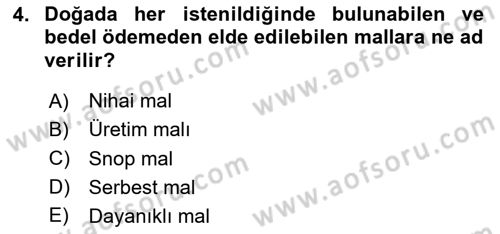 İktisada Giriş 1 Dersi 2024 - 2025 Yılı (Vize) Ara Sınav Soruları 4. Soru