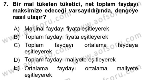 İktisada Giriş 1 Dersi 2024 - 2025 Yılı (Vize) Ara Sınav Soruları 7. Soru