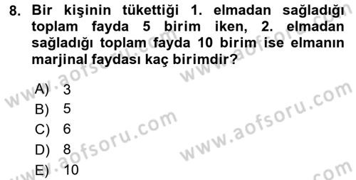 İktisada Giriş 1 Dersi 2024 - 2025 Yılı (Vize) Ara Sınav Soruları 8. Soru