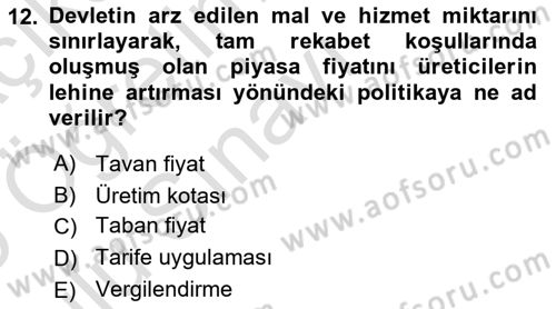 İktisada Giriş 1 Dersi 2024 - 2025 Yılı Yaz Okulu Sınav Soruları 12. Soru
