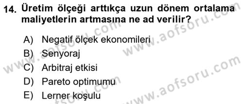 İktisada Giriş 1 Dersi 2024 - 2025 Yılı Yaz Okulu Sınav Soruları 14. Soru