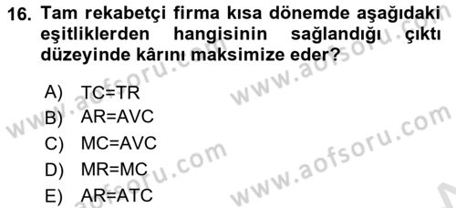 İktisada Giriş 1 Dersi 2024 - 2025 Yılı Yaz Okulu Sınav Soruları 16. Soru