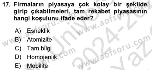 İktisada Giriş 1 Dersi 2024 - 2025 Yılı Yaz Okulu Sınav Soruları 17. Soru