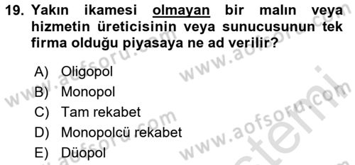 İktisada Giriş 1 Dersi 2024 - 2025 Yılı Yaz Okulu Sınav Soruları 19. Soru
