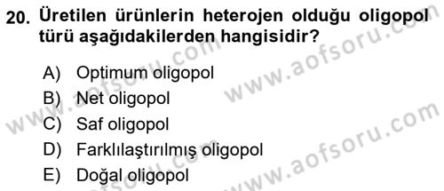 İktisada Giriş 1 Dersi 2024 - 2025 Yılı Yaz Okulu Sınav Soruları 20. Soru