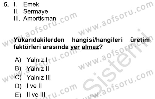 İktisada Giriş 1 Dersi 2024 - 2025 Yılı Yaz Okulu Sınav Soruları 5. Soru