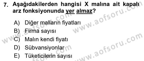 İktisada Giriş 1 Dersi 2024 - 2025 Yılı Yaz Okulu Sınav Soruları 7. Soru