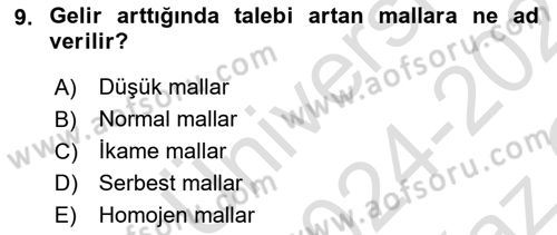 İktisada Giriş 1 Dersi 2024 - 2025 Yılı Yaz Okulu Sınav Soruları 9. Soru
