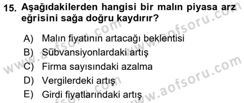 İktisada Giriş 1 Dersi 2025 - 2026 Yılı (Vize) Ara Sınav Soruları 15. Soru