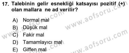 İktisada Giriş 1 Dersi 2025 - 2026 Yılı (Vize) Ara Sınav Soruları 17. Soru