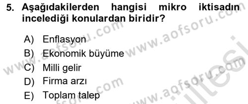 İktisada Giriş 1 Dersi 2025 - 2026 Yılı (Vize) Ara Sınav Soruları 5. Soru