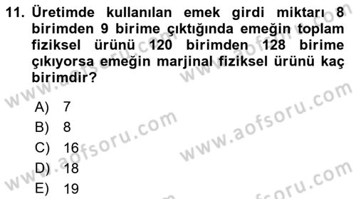 İktisada Giriş 1 Dersi 2025 - 2026 Yılı (Final) Dönem Sonu Sınav Soruları 11. Soru