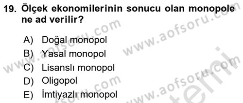İktisada Giriş 1 Dersi 2025 - 2026 Yılı (Final) Dönem Sonu Sınav Soruları 19. Soru