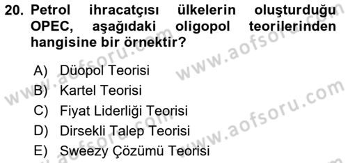 İktisada Giriş 1 Dersi 2025 - 2026 Yılı (Final) Dönem Sonu Sınav Soruları 20. Soru