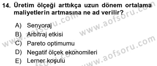 İktisada Giriş 1 Dersi 2025 - 2026 Yılı Yaz Okulu Sınav Soruları 14. Soru