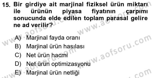 İktisada Giriş 1 Dersi 2025 - 2026 Yılı Yaz Okulu Sınav Soruları 15. Soru