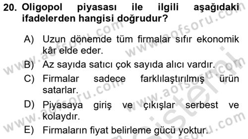 İktisada Giriş 1 Dersi 2025 - 2026 Yılı Yaz Okulu Sınav Soruları 20. Soru