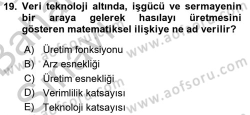 İktisada Giriş 2 Dersi 2016 - 2017 Yılı (Vize) Ara Sınav Soruları 19. Soru