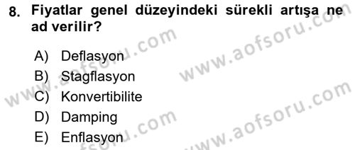 İktisada Giriş 2 Dersi 2018 - 2019 Yılı Yaz Okulu Sınav Soruları 8. Soru