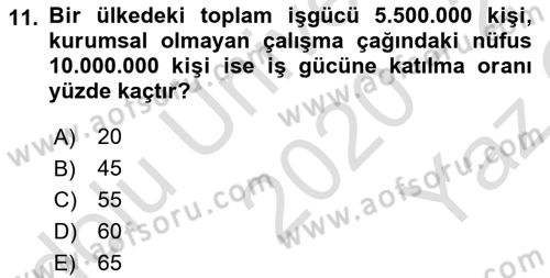 İktisada Giriş 2 Dersi 2020 - 2021 Yılı Yaz Okulu Sınavı 11. Soru