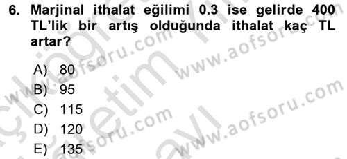 İktisada Giriş 2 Dersi 2022 - 2023 Yılı Yaz Okulu Sınav Soruları 6. Soru