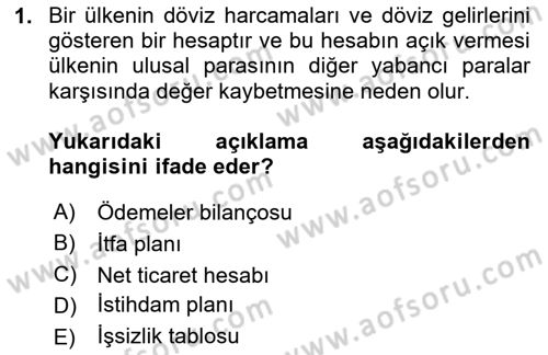 İktisada Giriş 2 Dersi 2024 - 2025 Yılı (Vize) Ara Sınav Soruları 1. Soru