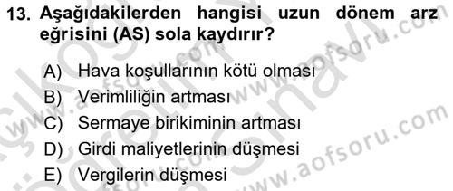 İktisada Giriş 2 Dersi 2024 - 2025 Yılı (Vize) Ara Sınav Soruları 13. Soru