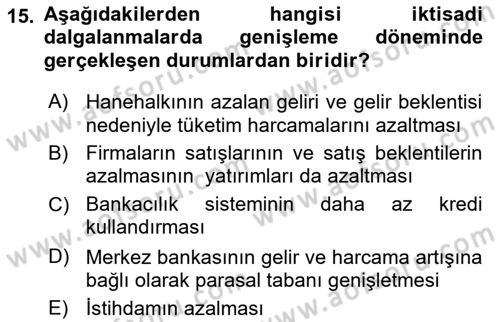 İktisada Giriş 2 Dersi 2024 - 2025 Yılı (Vize) Ara Sınav Soruları 15. Soru