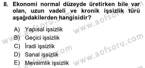 İktisada Giriş 2 Dersi 2024 - 2025 Yılı (Final) Dönem Sonu Sınav Soruları 8. Soru