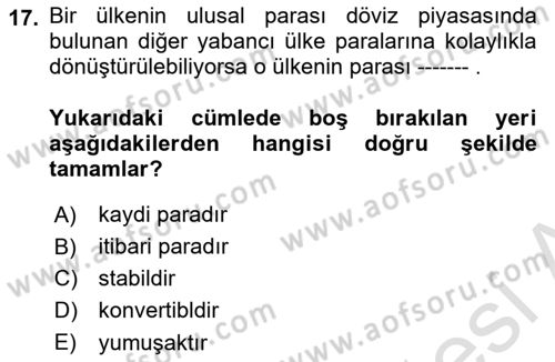İktisada Giriş 2 Dersi 2024 - 2025 Yılı Yaz Okulu Sınav Soruları 17. Soru