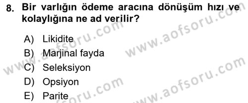 İktisada Giriş 2 Dersi 2024 - 2025 Yılı Yaz Okulu Sınav Soruları 8. Soru