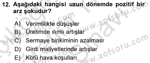 İktisada Giriş 2 Dersi 2025 - 2026 Yılı (Vize) Ara Sınav Soruları 12. Soru