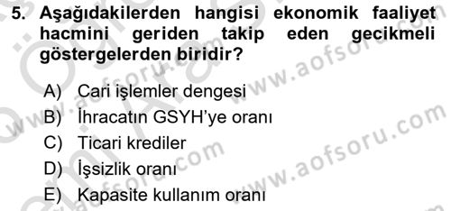 İktisada Giriş 2 Dersi 2025 - 2026 Yılı (Vize) Ara Sınav Soruları 5. Soru