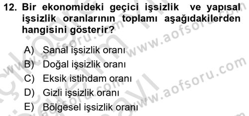 İktisada Giriş 2 Dersi 2025 - 2026 Yılı Yaz Okulu Sınav Soruları 12. Soru