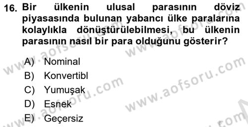 İktisada Giriş 2 Dersi 2025 - 2026 Yılı Yaz Okulu Sınav Soruları 16. Soru